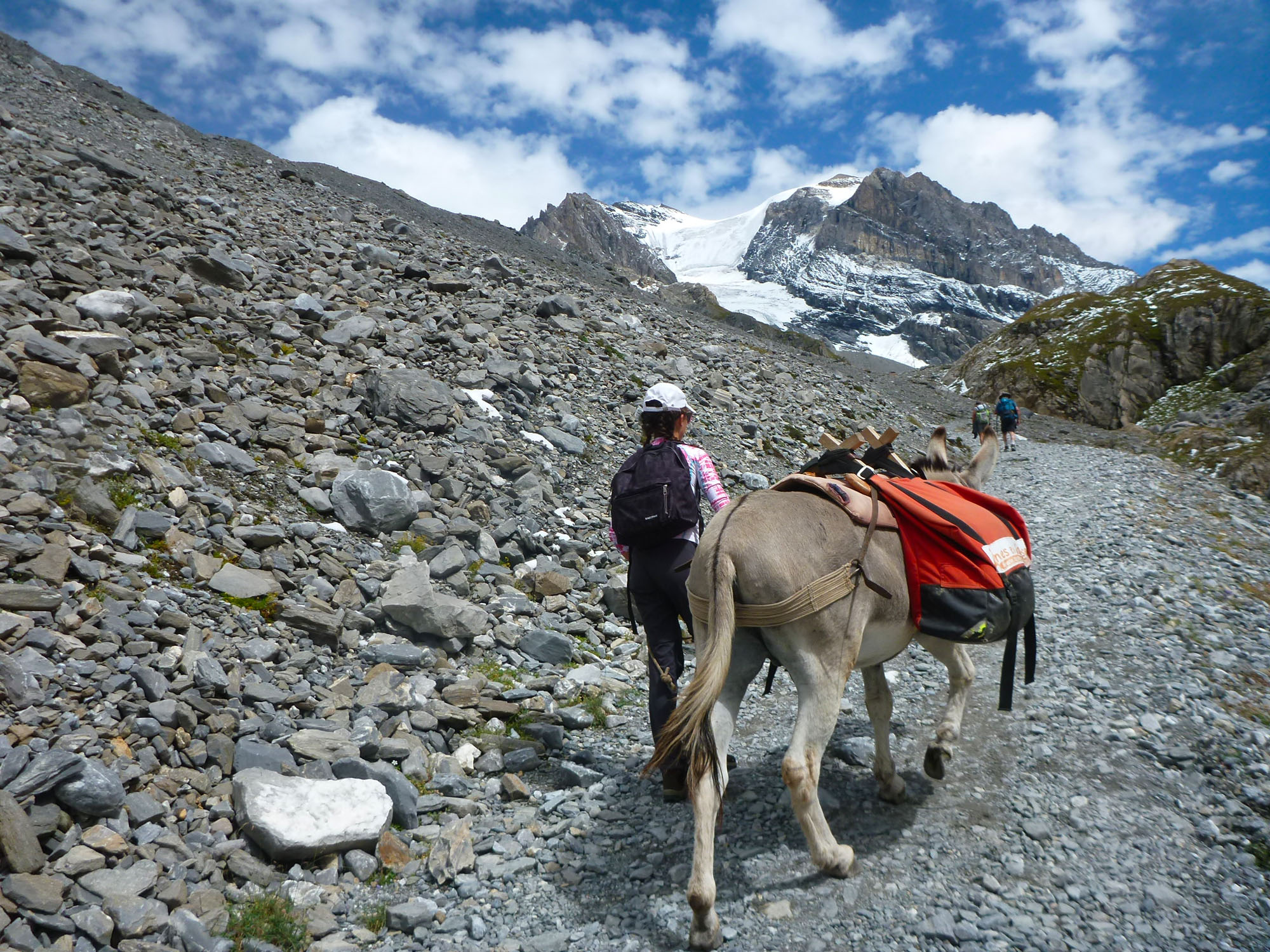 En direction du Col de la Vanoise avec un âne